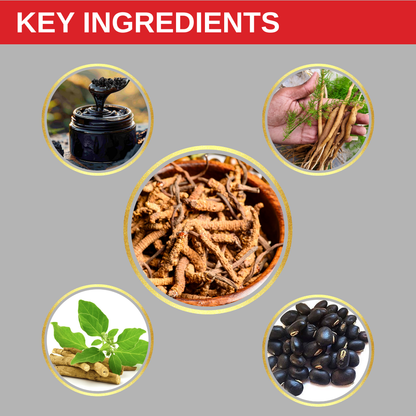 Himali YarsaPlus For Energy Tonic(30 caps) ( रु.2500/-)